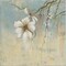 Cherry Blossom I Poster Print by Patricia Pinto - Item # VARPDX7507